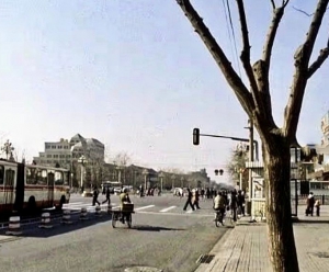 ʧĽ־