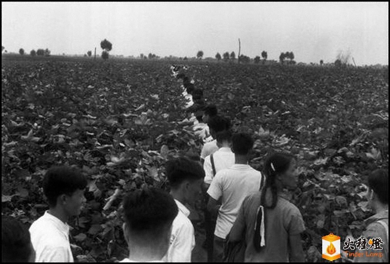 cꖡ1958ꡣ ٰ  Henry Cartier Bresson7.jpg