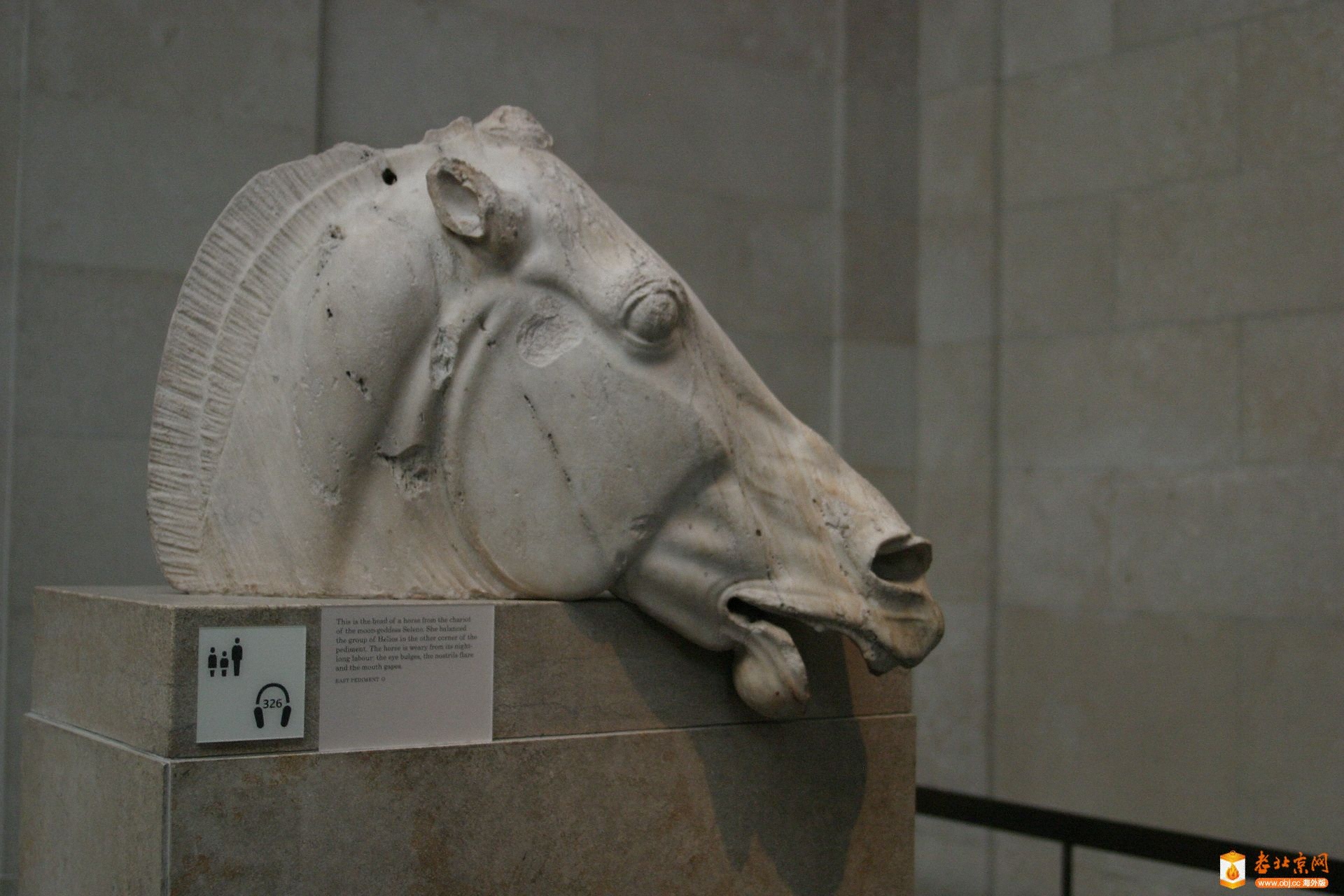 27.ϣŵ̨ũŮսͷThis is the head of a horse from ch.jpg