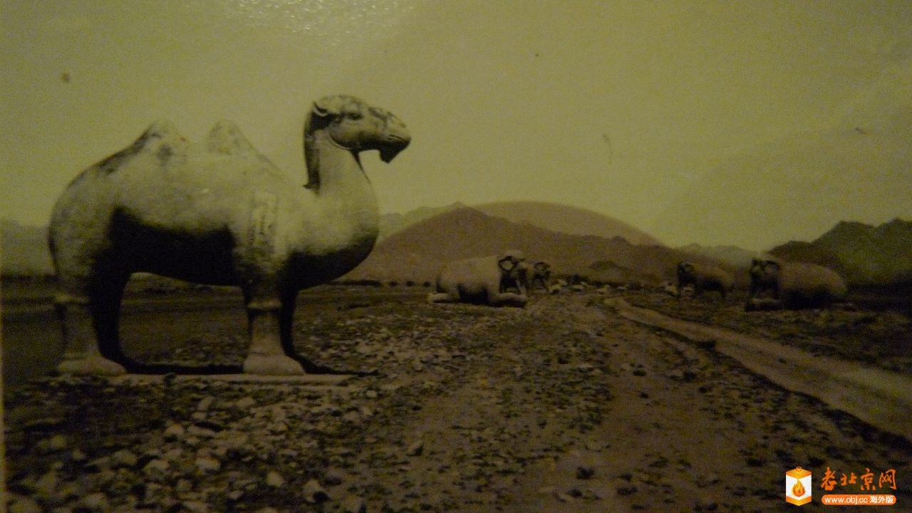 Camel statue (1280x720).jpg