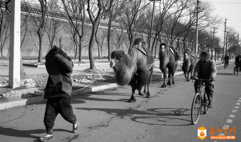 50年代的北京城里有假志新童年的影子