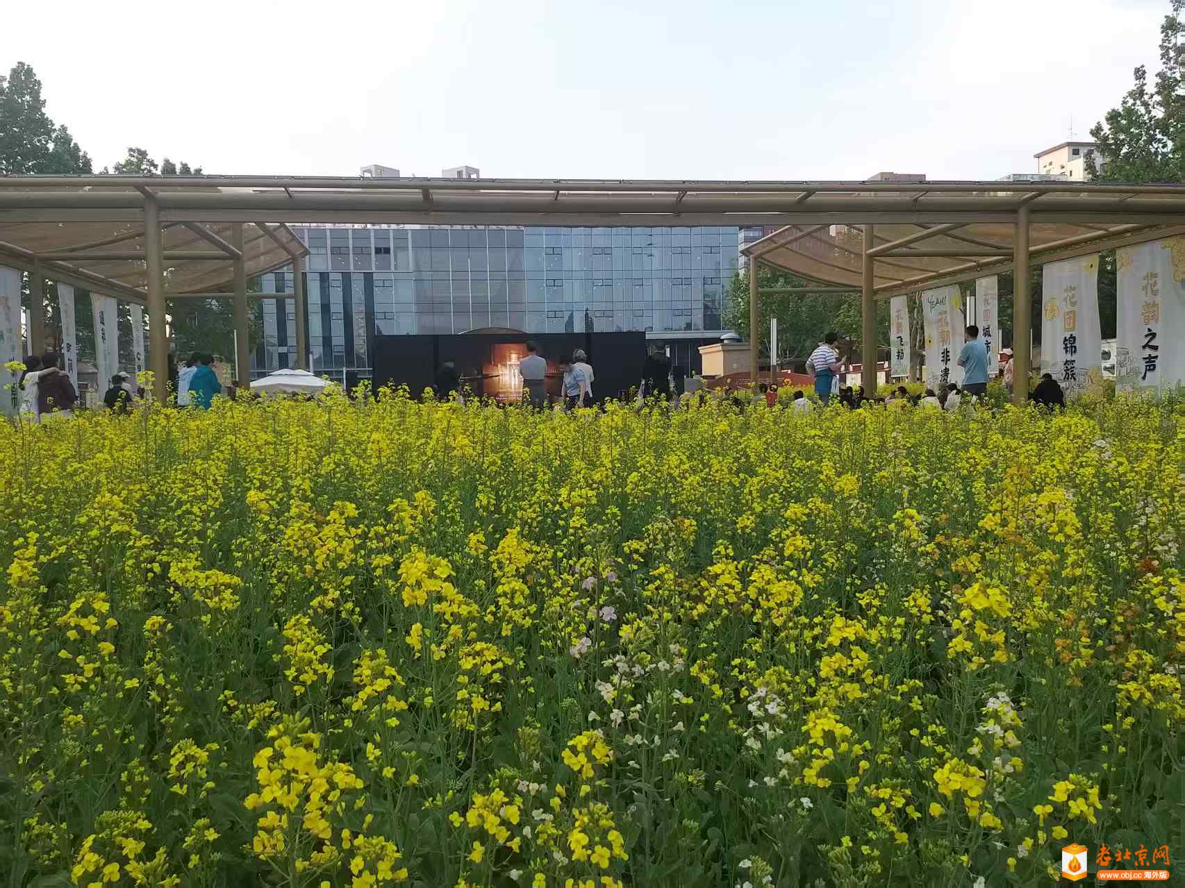 Weixin Image_20250514214433.jpg
