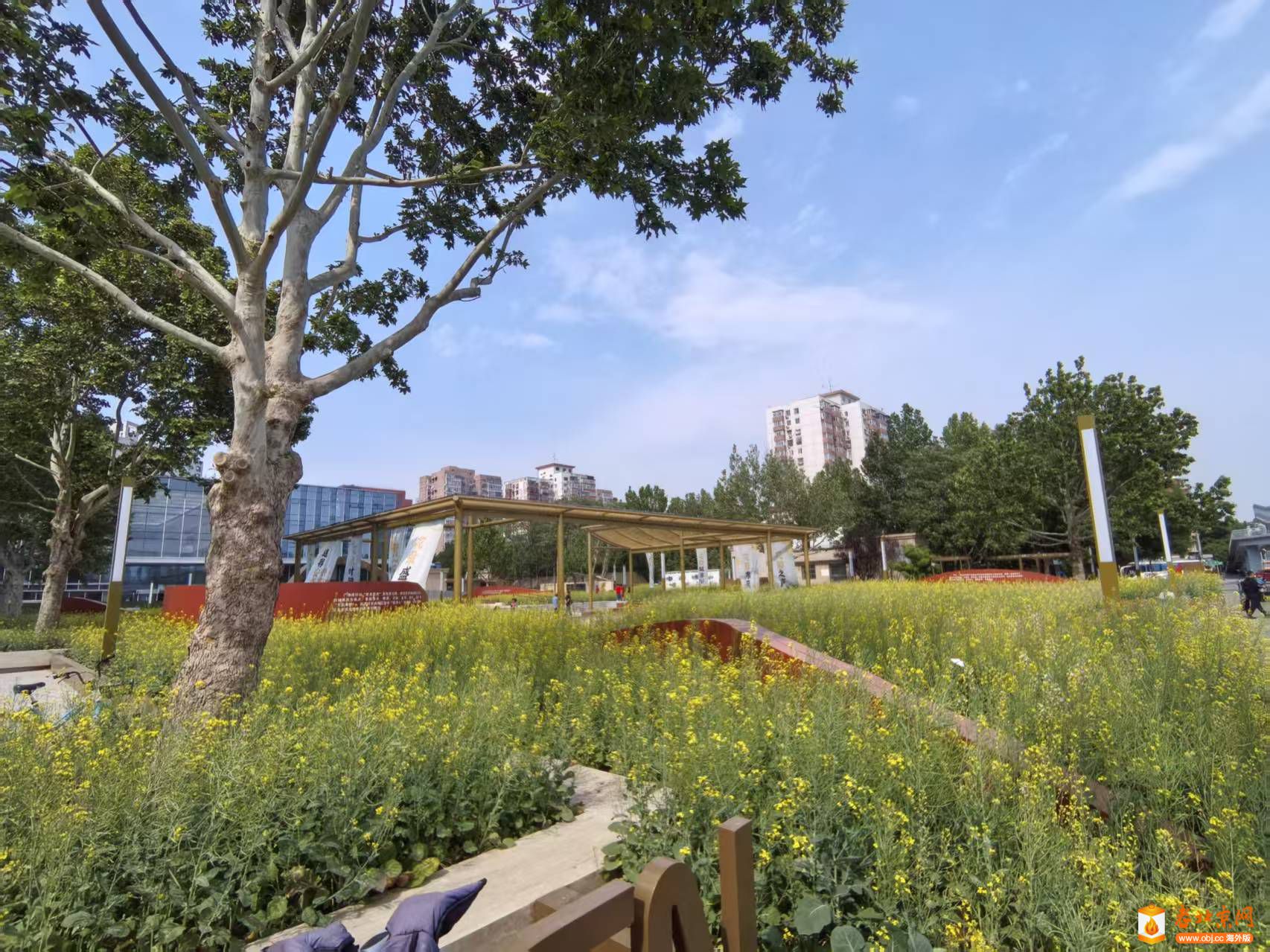 Weixin Image_20250519175949.jpg