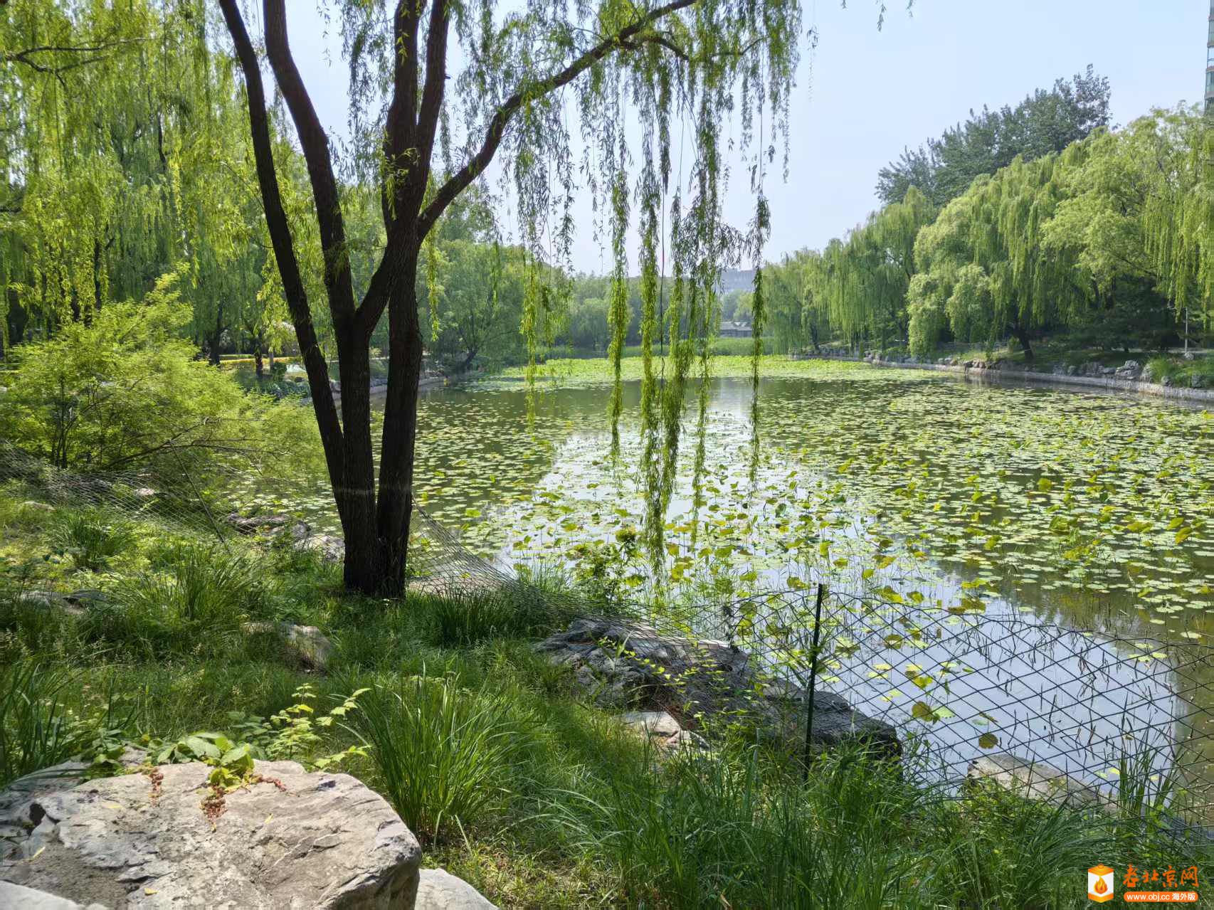 Weixin Image_20250527221611.jpg
