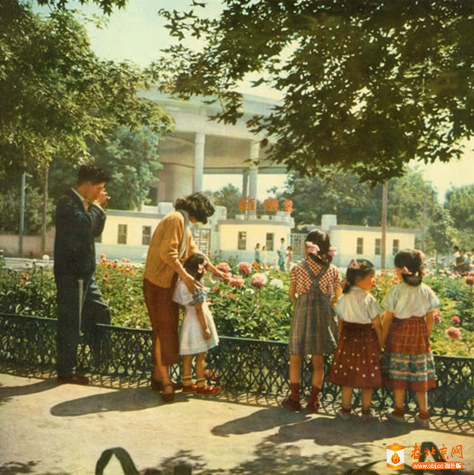 ζ