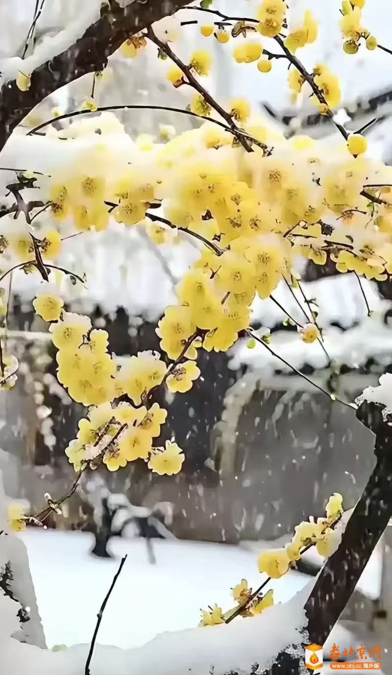 ÷()