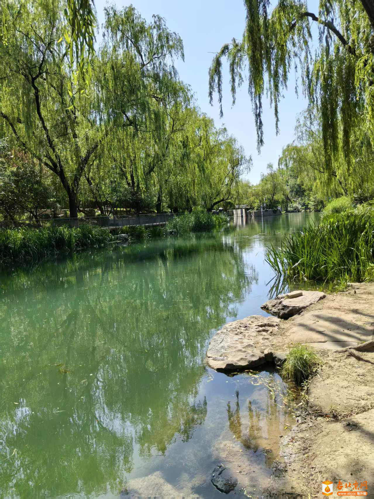 Weixin Image_20250610101500.jpg