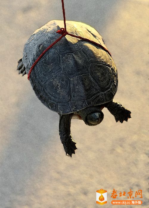 ΢ͼƬ_20230225192541_.jpg