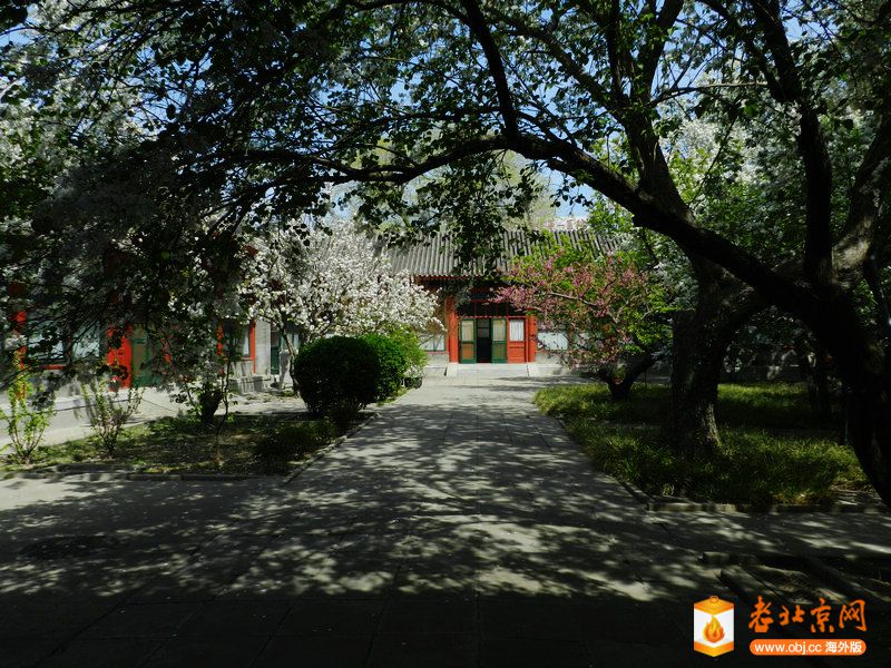 DSCN3157.jpg