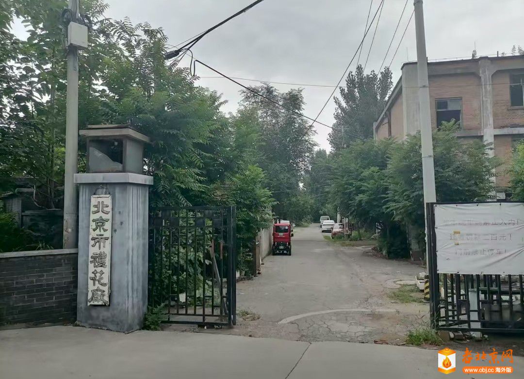 ռ