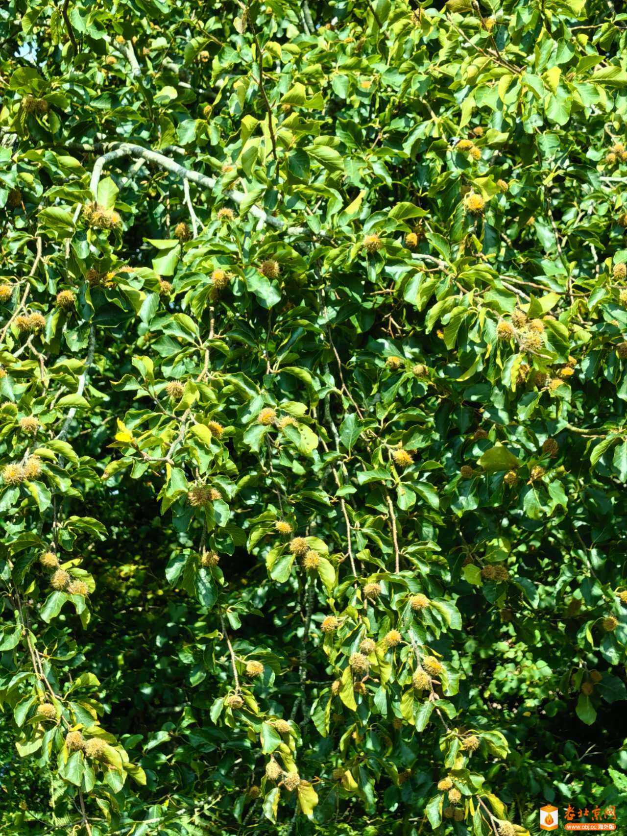 Weixin Image_20250813164747.jpg