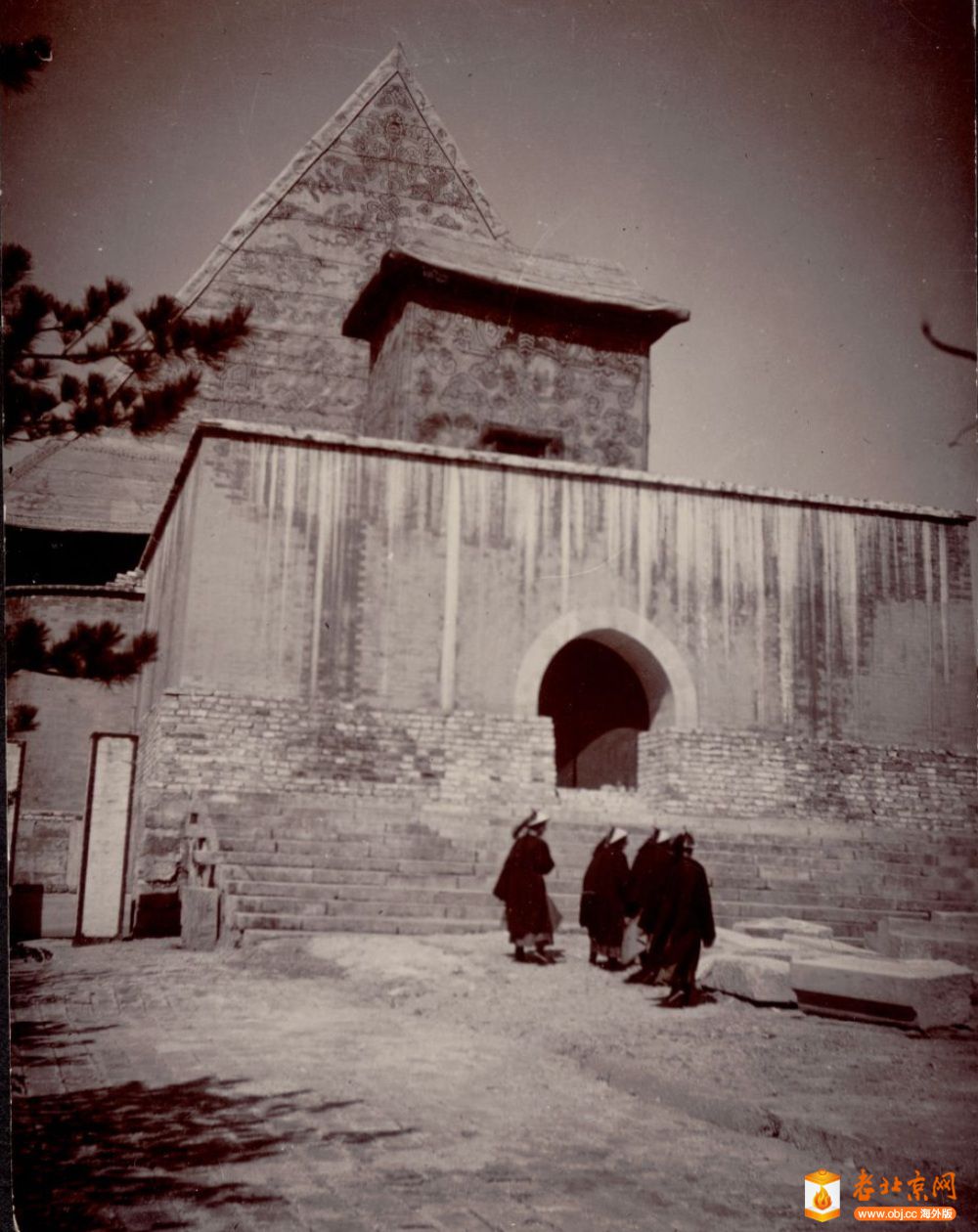ϴϱ