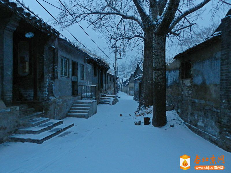 DSCN4665.jpg