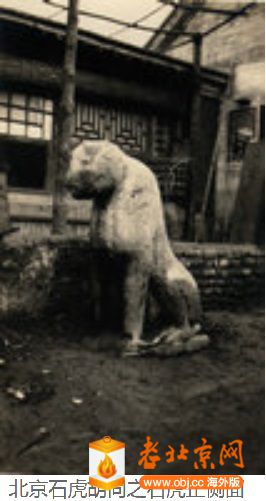 Ӱ