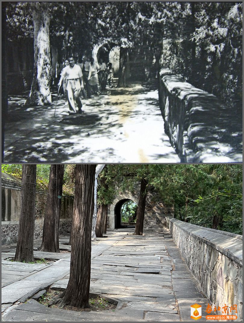 Աϵ~ܿ