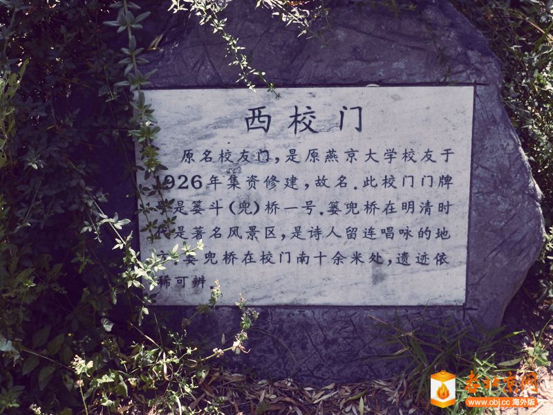 DSCN0233_.jpg