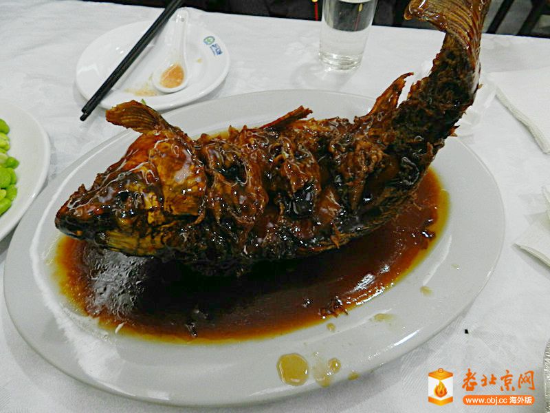 DSCN8484.jpg