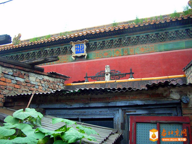 R0028293_.jpg