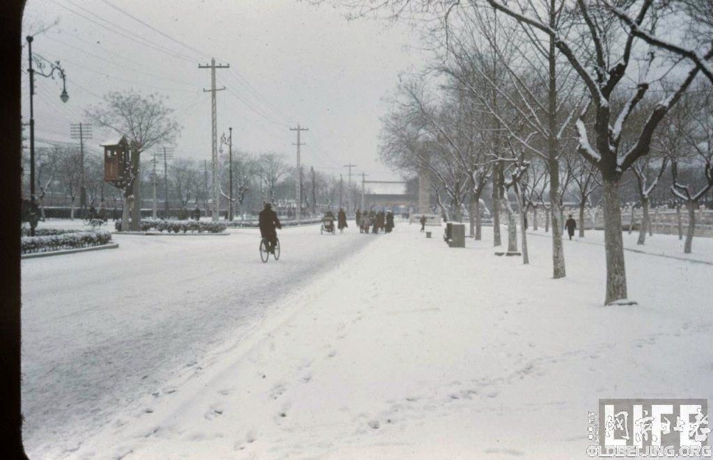 [ת]ٷ1946ı