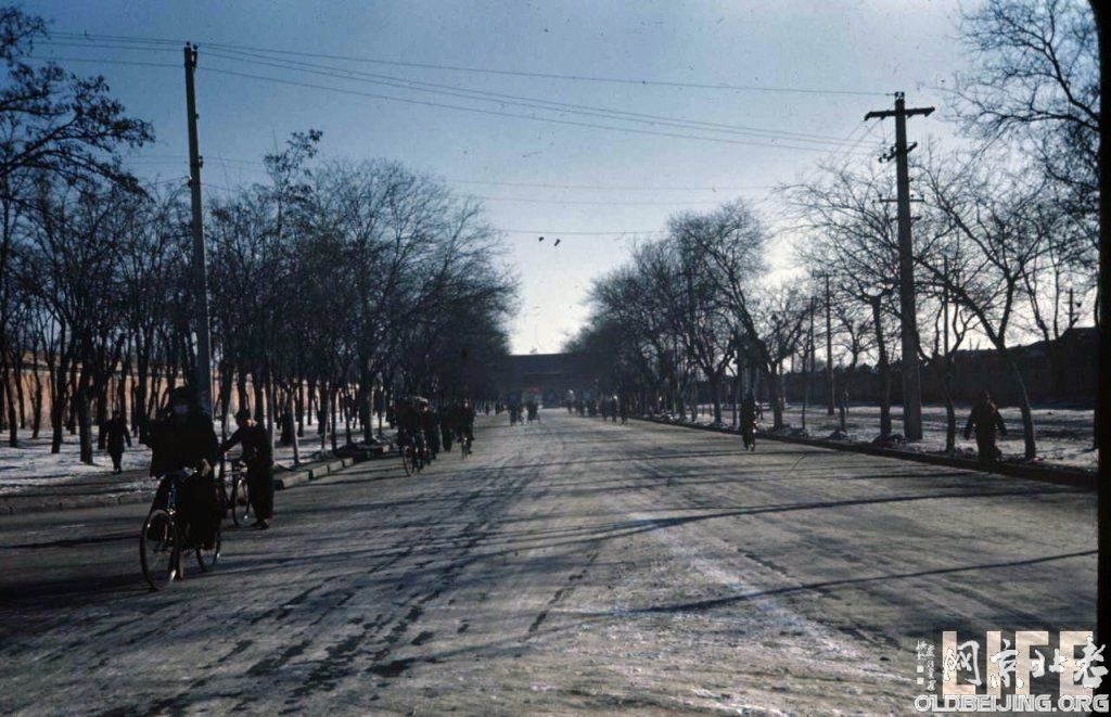 [ת]ٷ1946ı