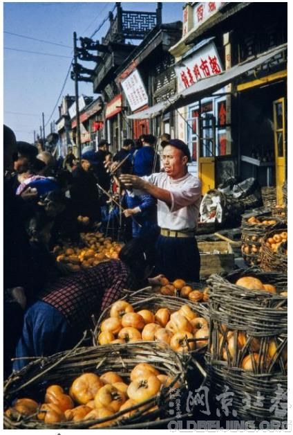 1959ı