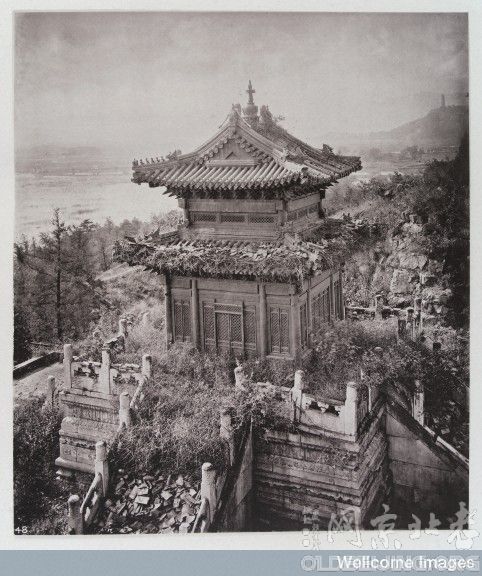 Ƭһ顿The face of peking(1869)