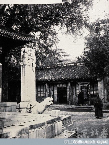 Ƭһ顿The face of peking(1869)(2)