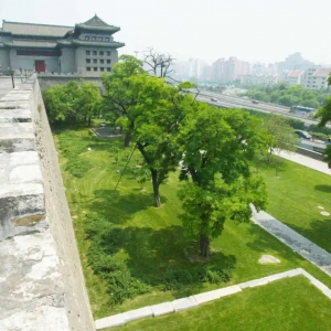 北京明城墙遗址的这一幕，让单霁翔终生难忘