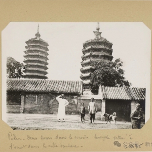 ĳ-  û