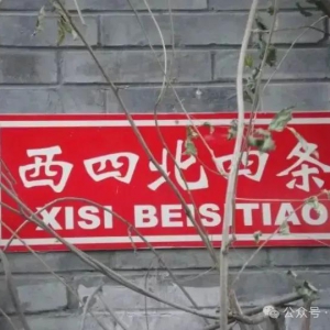 ı